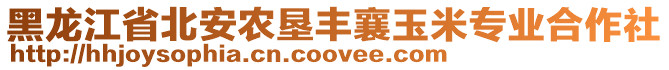 黑龍江省北安農(nóng)墾豐襄玉米專業(yè)合作社