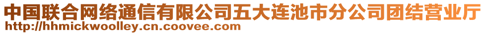 中國聯(lián)合網(wǎng)絡(luò)通信有限公司五大連池市分公司團(tuán)結(jié)營業(yè)廳