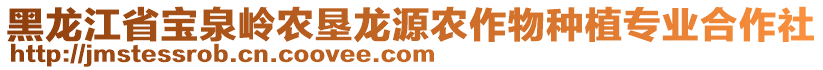 黑龙江省宝泉岭农垦龙源农作物种植专业合作社