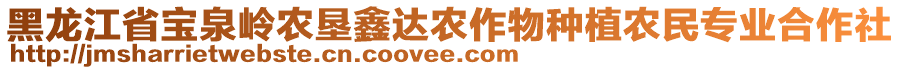 黑龍江省寶泉嶺農(nóng)墾鑫達(dá)農(nóng)作物種植農(nóng)民專業(yè)合作社