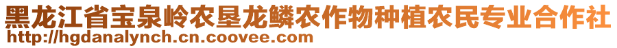 黑龍江省寶泉嶺農(nóng)墾龍鱗農(nóng)作物種植農(nóng)民專業(yè)合作社