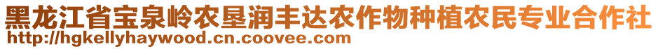 黑龙江省宝泉岭农垦润丰达农作物种植农民专业合作社