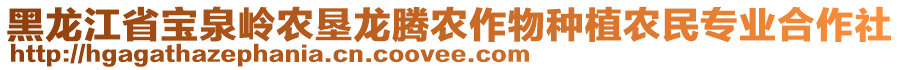 黑龍江省寶泉嶺農(nóng)墾龍騰農(nóng)作物種植農(nóng)民專業(yè)合作社