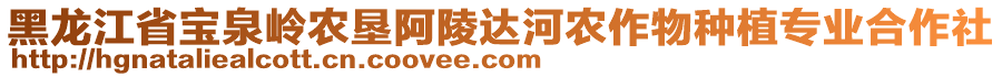 黑龍江省寶泉嶺農(nóng)墾阿陵達河農(nóng)作物種植專業(yè)合作社