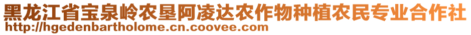 黑龍江省寶泉嶺農(nóng)墾阿凌達(dá)農(nóng)作物種植農(nóng)民專業(yè)合作社