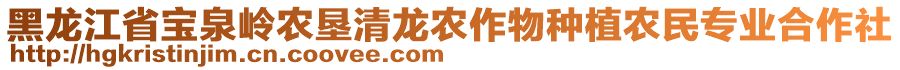 黑龙江省宝泉岭农垦清龙农作物种植农民专业合作社