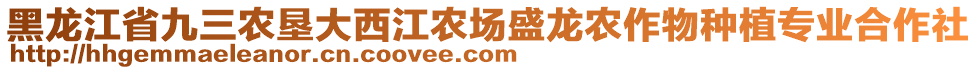 黑龍江省九三農(nóng)墾大西江農(nóng)場(chǎng)盛龍農(nóng)作物種植專(zhuān)業(yè)合作社