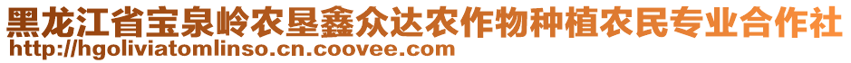 黑龍江省寶泉嶺農(nóng)墾鑫眾達(dá)農(nóng)作物種植農(nóng)民專業(yè)合作社