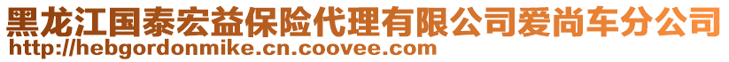 黑龍江國泰宏益保險代理有限公司愛尚車分公司