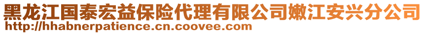 黑龍江國(guó)泰宏益保險(xiǎn)代理有限公司嫩江安興分公司