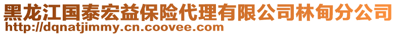 黑龍江國(guó)泰宏益保險(xiǎn)代理有限公司林甸分公司