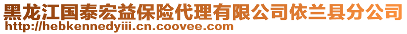 黑龍江國泰宏益保險代理有限公司依蘭縣分公司