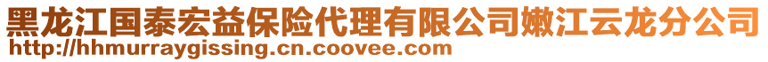 黑龍江國(guó)泰宏益保險(xiǎn)代理有限公司嫩江云龍分公司