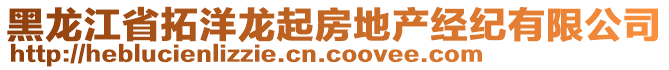 黑龍江省拓洋龍起房地產(chǎn)經(jīng)紀(jì)有限公司