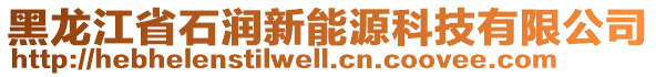 黑龍江省石潤新能源科技有限公司