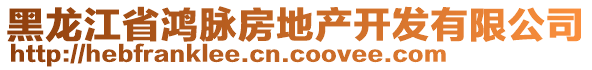 黑龍江省鴻脈房地產(chǎn)開發(fā)有限公司