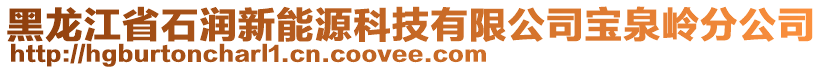 黑龍江省石潤(rùn)新能源科技有限公司寶泉嶺分公司