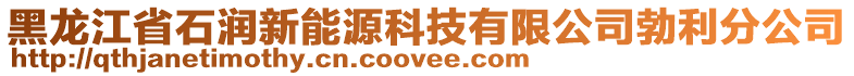 黑龍江省石潤新能源科技有限公司勃利分公司