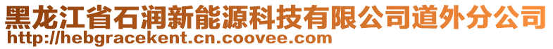 黑龍江省石潤(rùn)新能源科技有限公司道外分公司