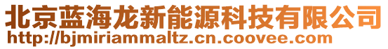 北京藍(lán)海龍新能源科技有限公司