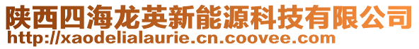 陜西四海龍英新能源科技有限公司