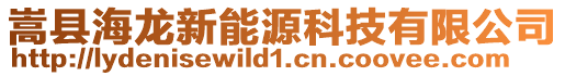 嵩縣海龍新能源科技有限公司