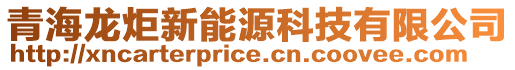 青海龍炬新能源科技有限公司