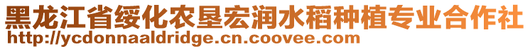 黑龍江省綏化農(nóng)墾宏潤水稻種植專業(yè)合作社