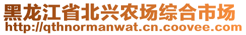 黑龍江省北興農(nóng)場綜合市場