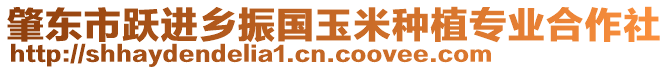 肇東市躍進(jìn)鄉(xiāng)振國玉米種植專業(yè)合作社