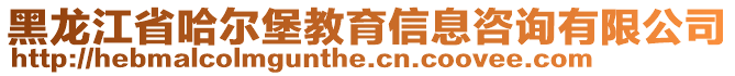 黑龍江省哈爾堡教育信息咨詢有限公司