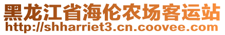 黑龍江省海倫農(nóng)場客運站