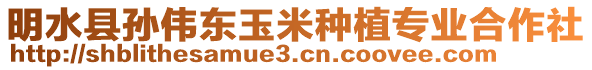 明水縣孫偉東玉米種植專業(yè)合作社