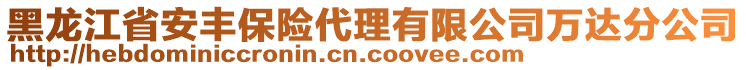 黑龍江省安豐保險(xiǎn)代理有限公司萬(wàn)達(dá)分公司