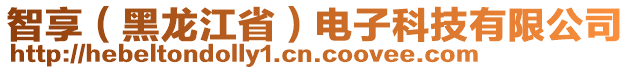 智享（黑龍江省）電子科技有限公司