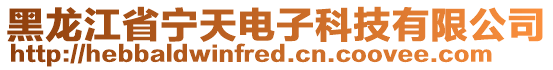 黑龍江省寧天電子科技有限公司