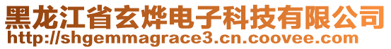 黑龍江省玄燁電子科技有限公司