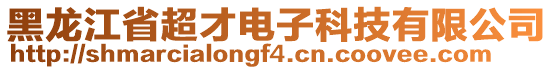 黑龍江省超才電子科技有限公司