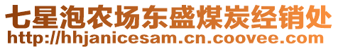 七星泡農(nóng)場(chǎng)東盛煤炭經(jīng)銷處