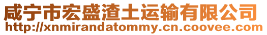咸寧市宏盛渣土運輸有限公司