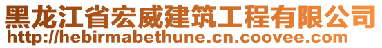 黑龍江省宏威建筑工程有限公司