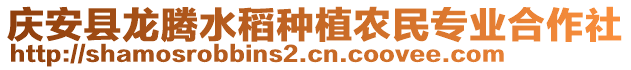 慶安縣龍騰水稻種植農(nóng)民專業(yè)合作社