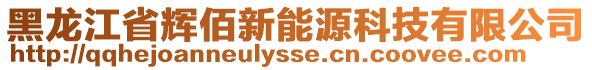 黑龍江省輝佰新能源科技有限公司