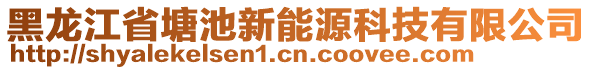 黑龍江省塘池新能源科技有限公司