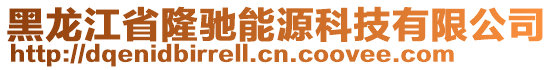 黑龍江省隆馳能源科技有限公司