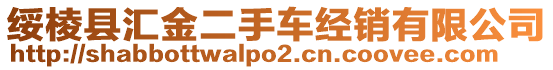 綏棱縣匯金二手車經(jīng)銷有限公司