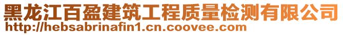 黑龍江百盈建筑工程質(zhì)量檢測有限公司