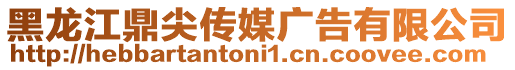 黑龍江鼎尖傳媒廣告有限公司
