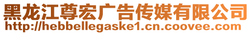 黑龍江尊宏廣告?zhèn)髅接邢薰? style=