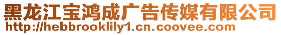 黑龍江寶鴻成廣告?zhèn)髅接邢薰? style=